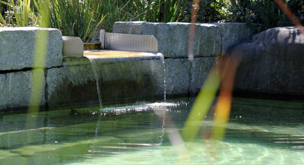 schwimmteich naturpool wasserspiel erfrischung zulauf wasser.jpg